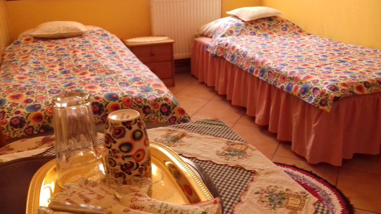 Brzeznica Dom Na Ludowo W Brzeznicyアパートメント エクステリア 写真